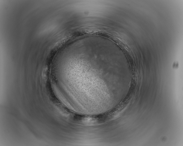 X0000094450319200711291705