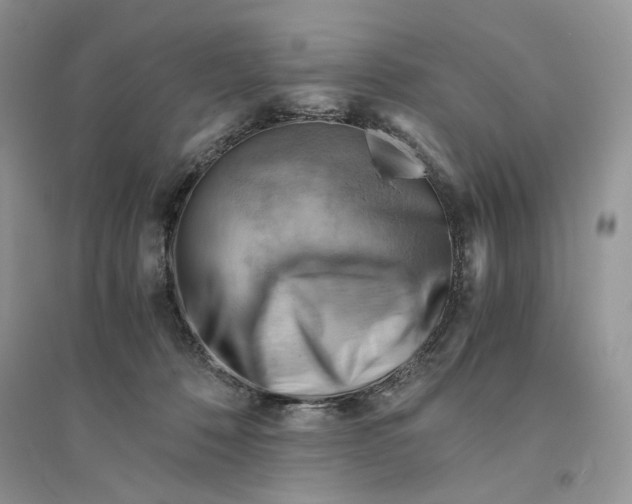 X0000094450320200711291705