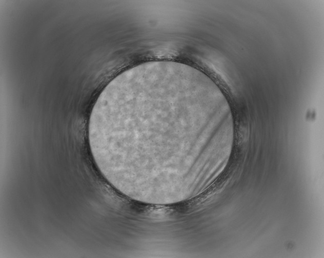 X0000094450321200711291705