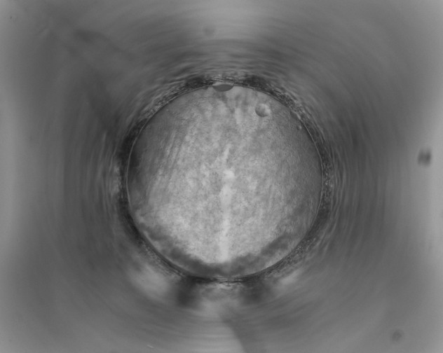 X0000094450323200711291705