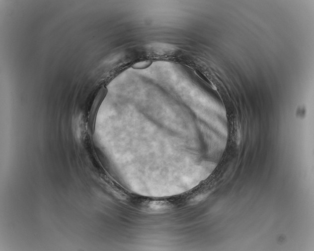 X0000094450324200711291705