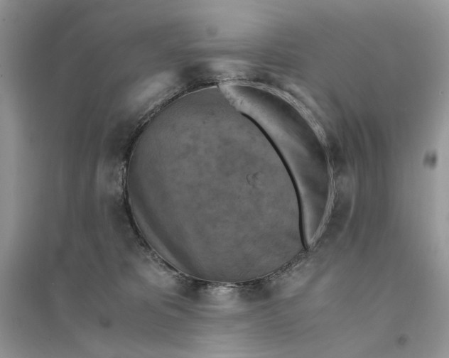 X0000094450325200711291705