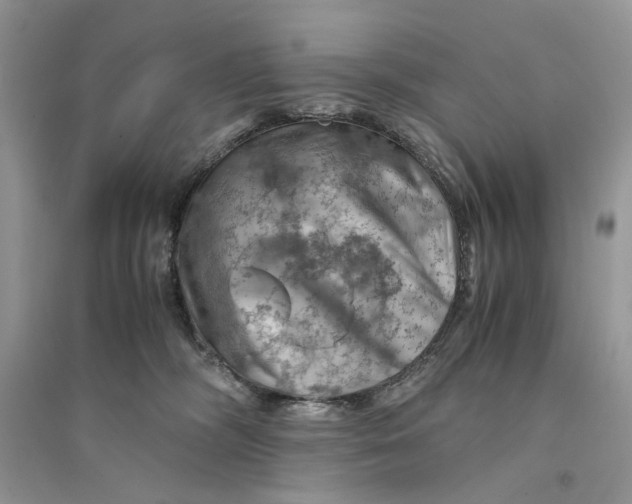 X0000094450326200711291705