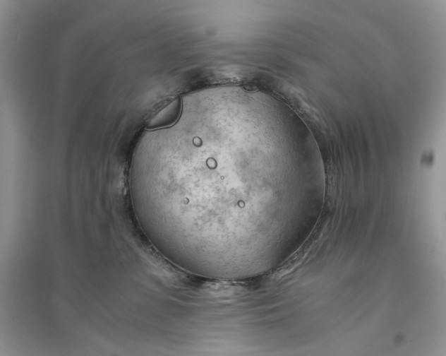 X0000094450331200711291705