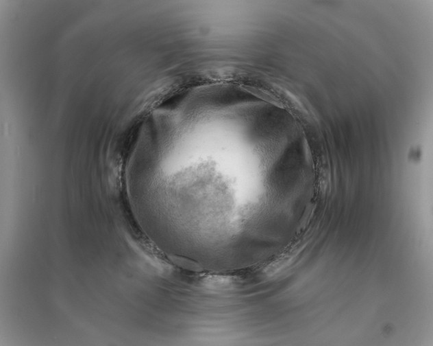 X0000094450332200711291705