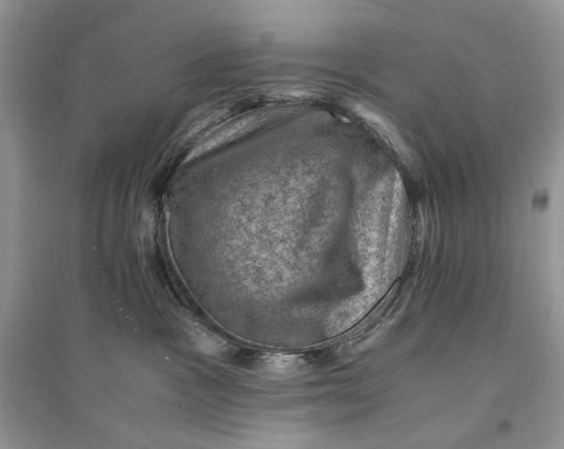 X0000094450333200711291705