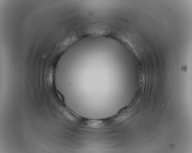 X0000094450334200711291705