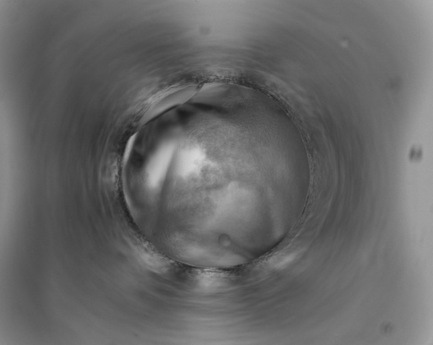 X0000094450336200711291705