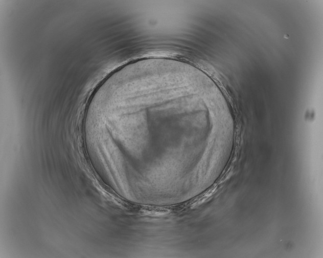 X0000094450337200711291704