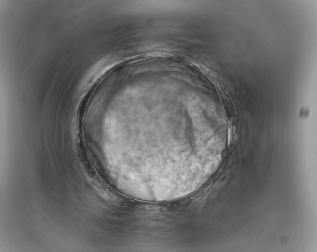 X0000094450339200711291704