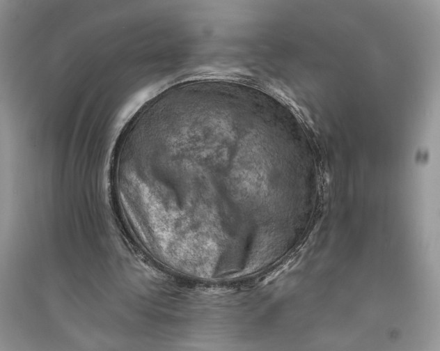 X0000094450340200711291704