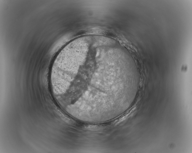 X0000094450341200711291704