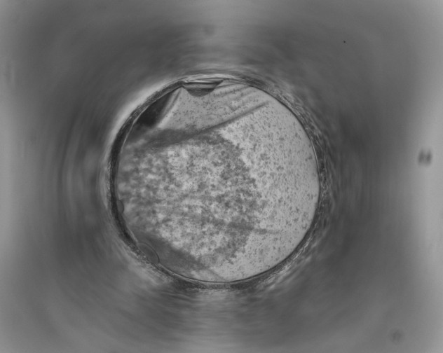 X0000094450342200711291704