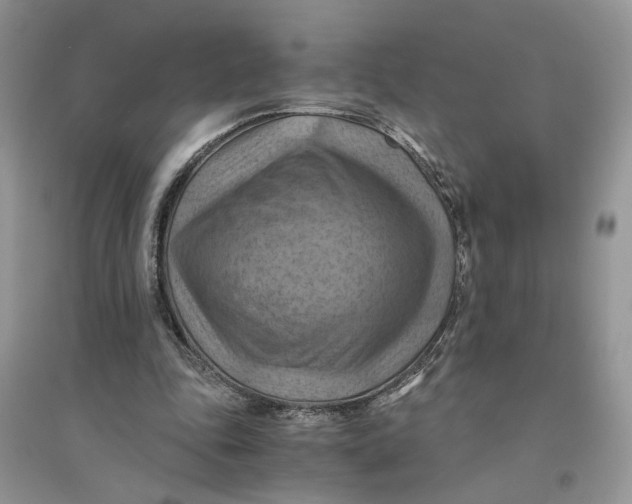 X0000094450343200711291704