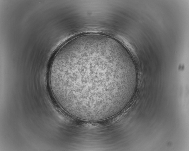 X0000094450346200711291704