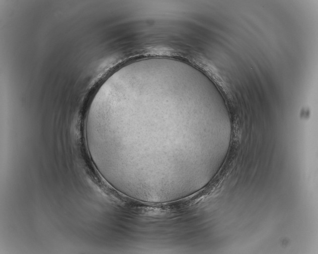 X0000094450347200711291704