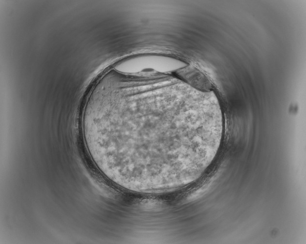 X0000094450348200711291704