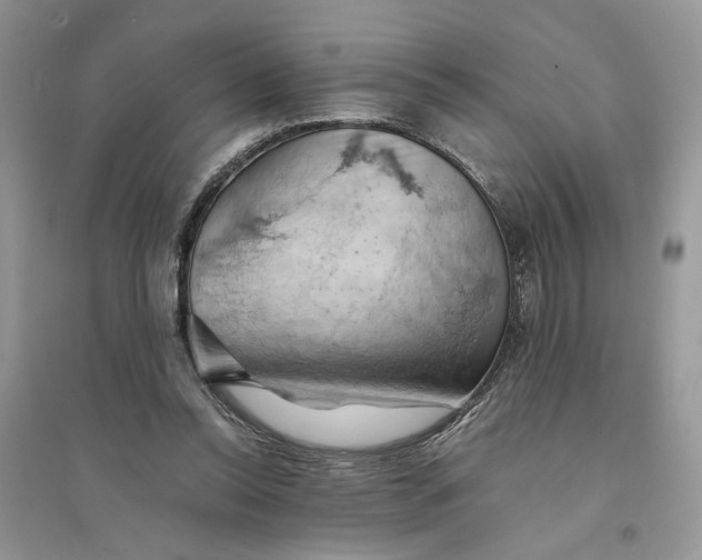 X0000094450350200711291704