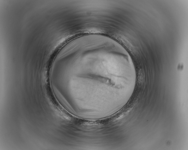 X0000094450351200711291704