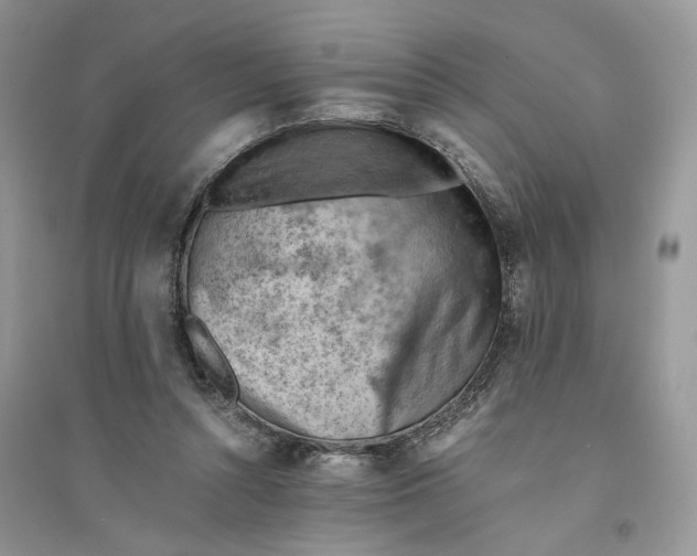 X0000094450352200711291704