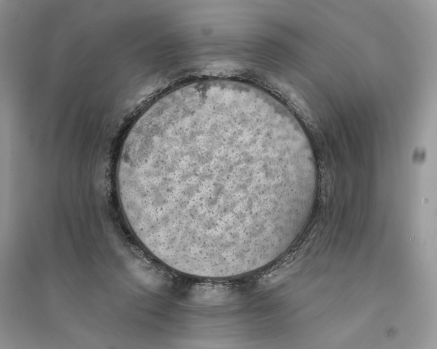 X0000094450354200711291704