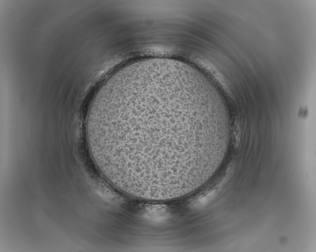 X0000094450355200711291704