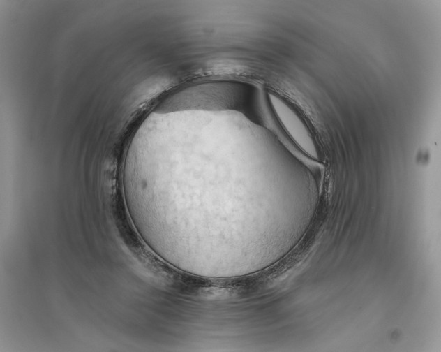 X0000094450356200711291704