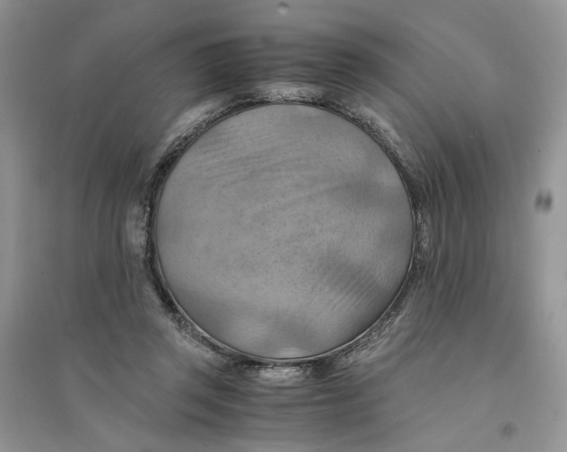 X0000094450357200711291704