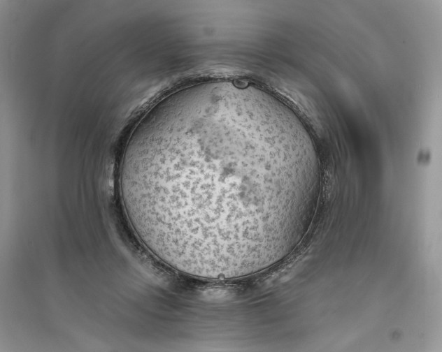 X0000094450358200711291704