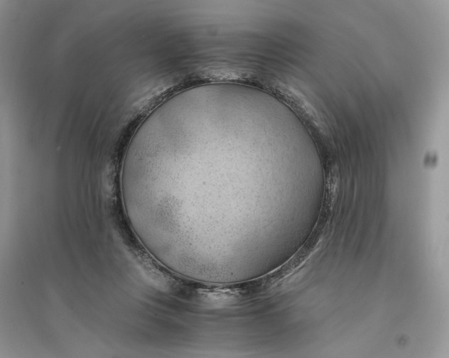 X0000094450359200711291704