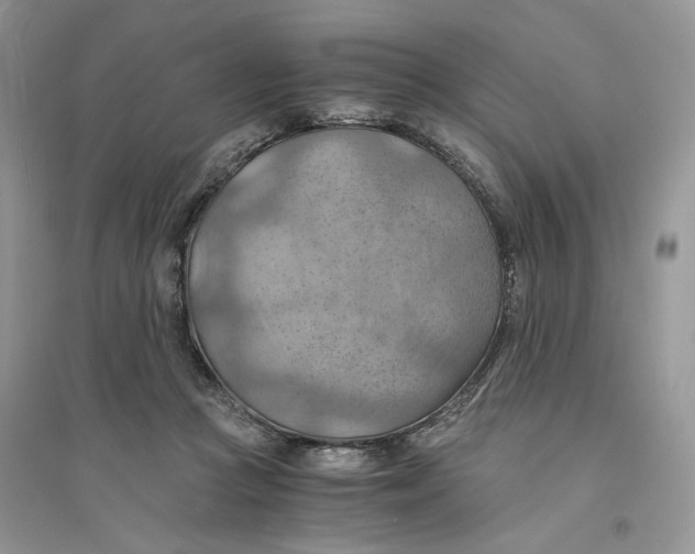 X0000094450361200711291704