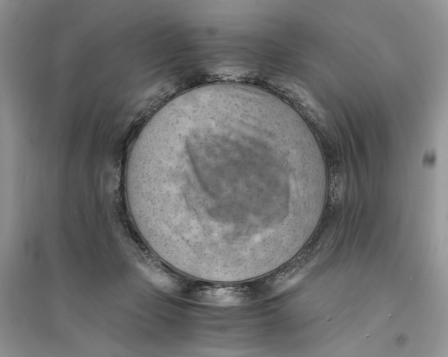 X0000094450365200711291704