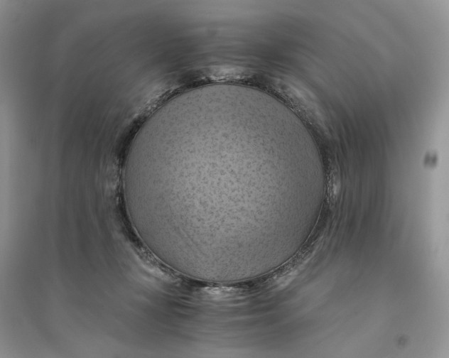 X0000094450367200711291704