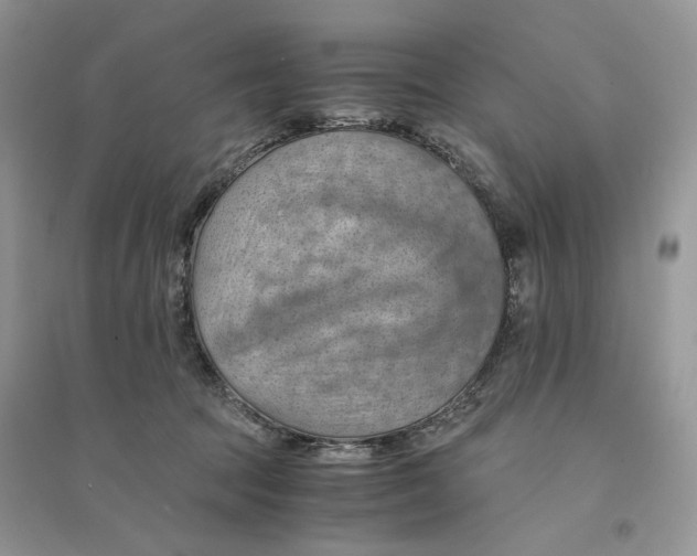 X0000094450369200711291704