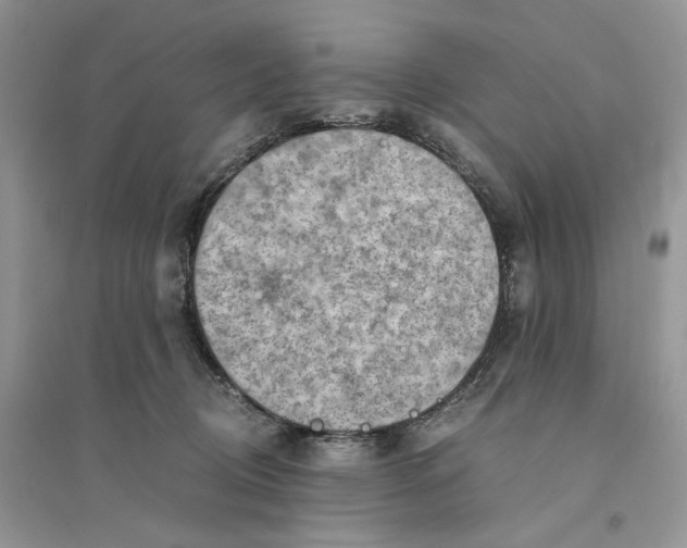 X0000094450370200711291704