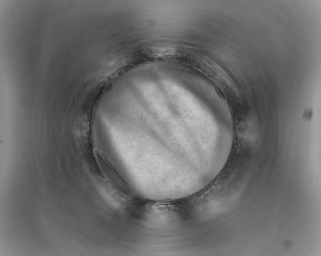 X0000094450372200711291704