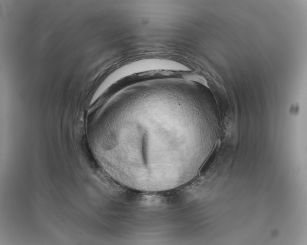 X0000094450376200711291705