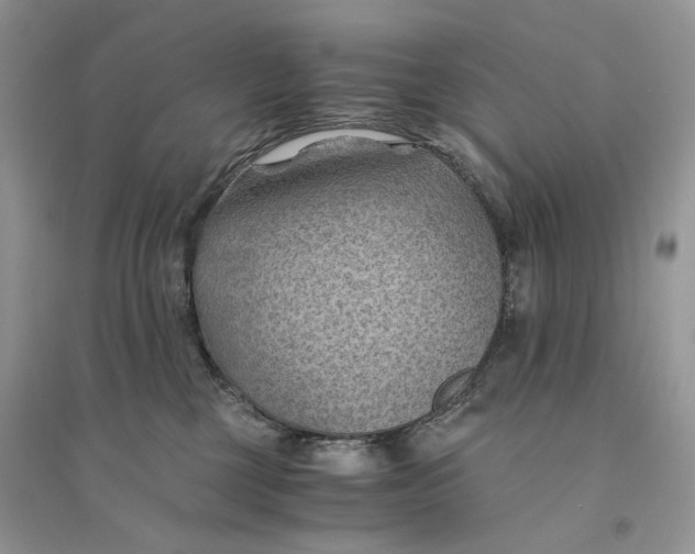 X0000094450377200711291705