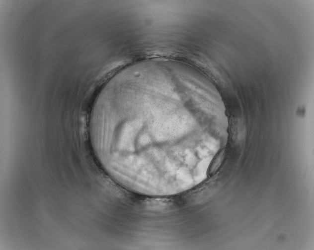 X0000094450378200711291705