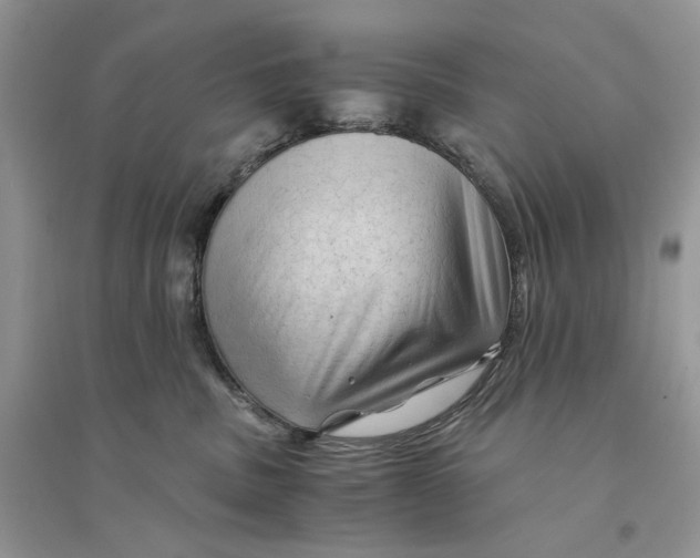 X0000094450379200711291705