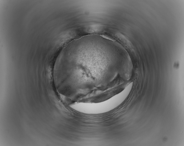 X0000094450380200711291705