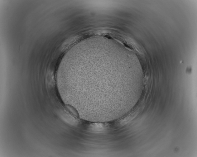 X0000094450381200711291705