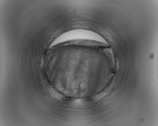 X0000094450382200711291705