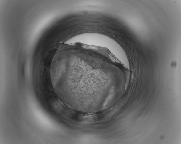 X0000094450383200711291705