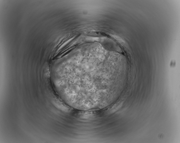 X0000094450384200711291705