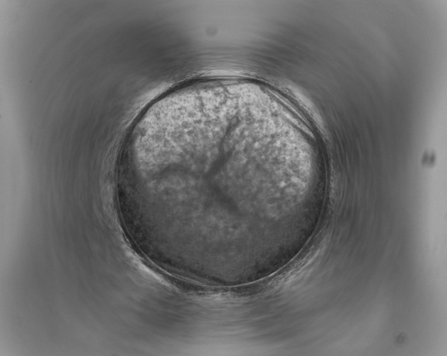 X0000094450385200711291704