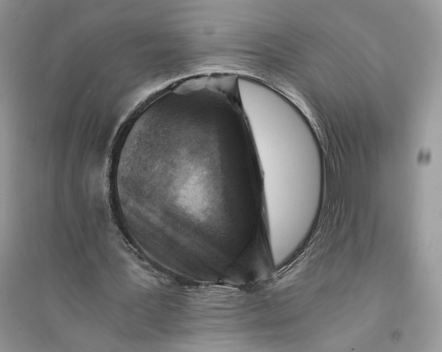 X0000094450387200711291704