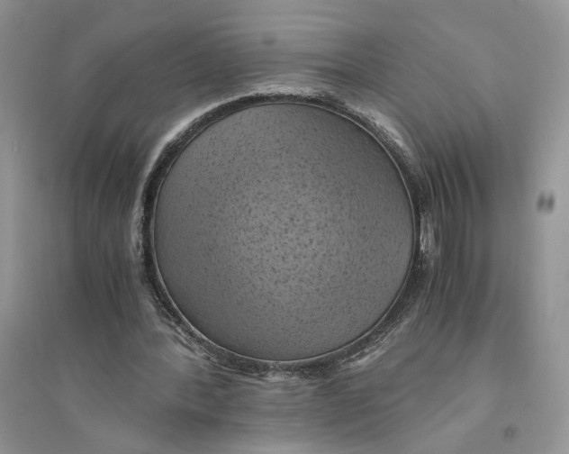 X0000094450388200711291704