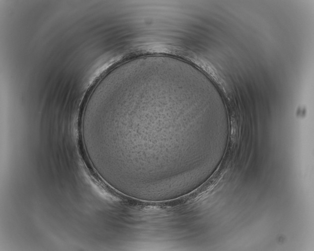 X0000094450390200711291704