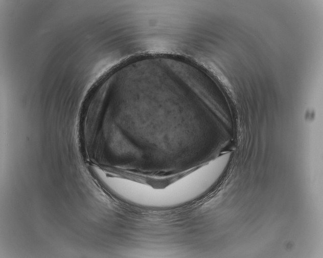 X0000094450391200711291704